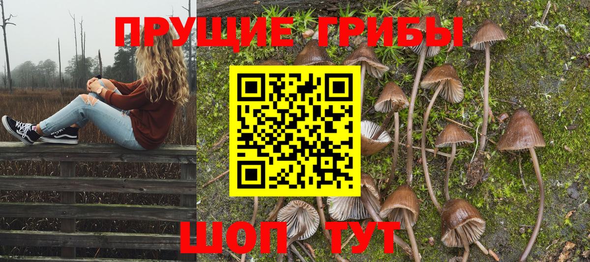 Псилоцибиновые грибы GOLDEN TEACHER  Вход с VPN  Коммунар 