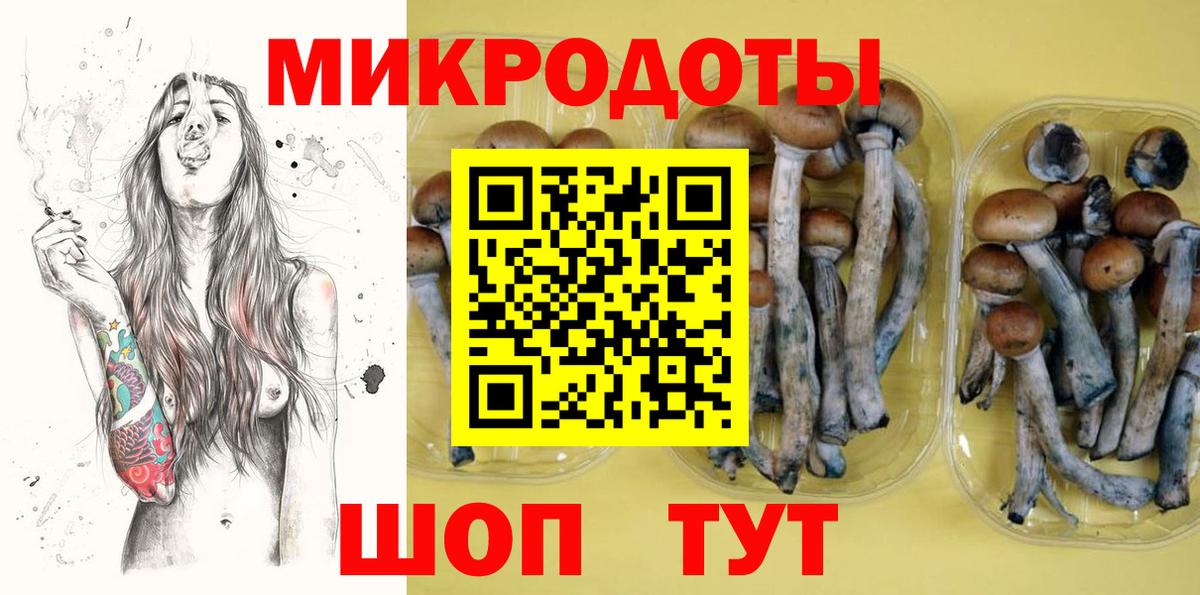 Галлюциногенные грибы мицелий Коммунар